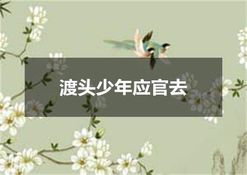 渡头少年应官去