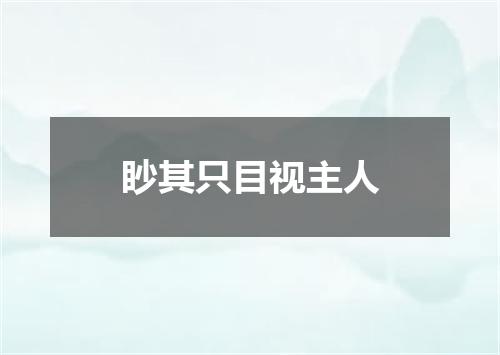 眇其只目视主人