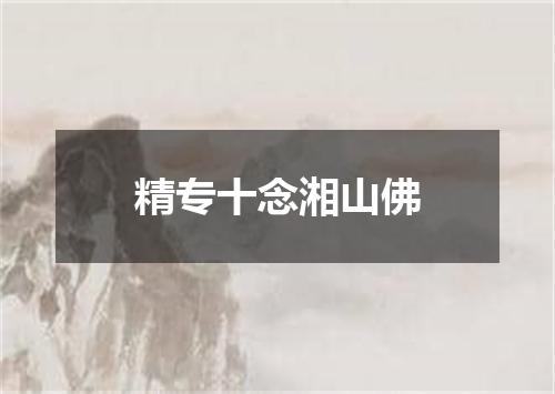 精专十念湘山佛