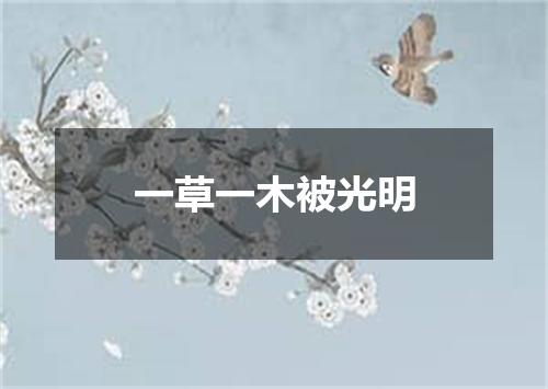 一草一木被光明