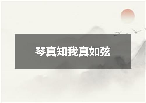 琴真知我真如弦