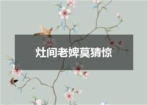 灶间老婢莫猜惊