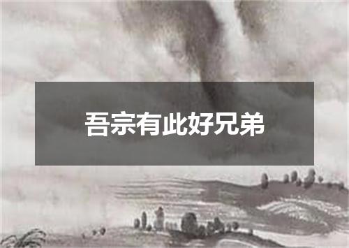 吾宗有此好兄弟