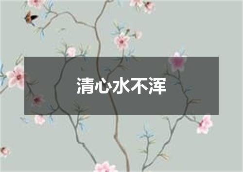 清心水不浑
