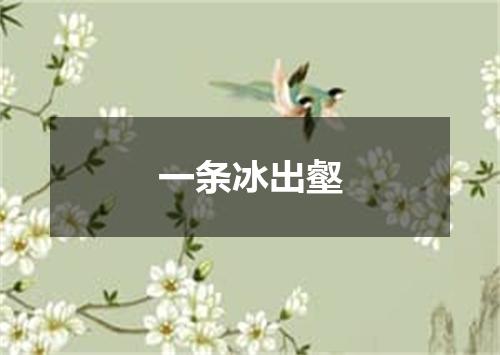 一条冰出壑