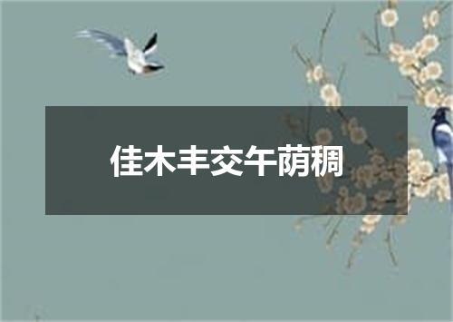 佳木丰交午荫稠