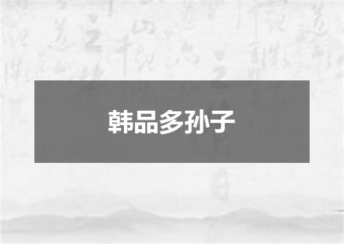 韩品多孙子