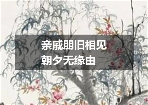 亲戚朋旧相见朝夕无缘由