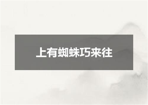 上有蜘蛛巧来往
