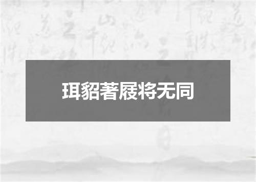 珥貂著屐将无同