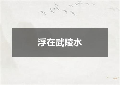 浮在武陵水
