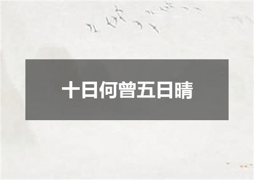 十日何曾五日晴