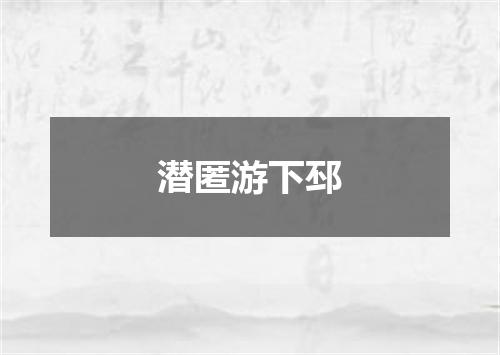 潜匿游下邳