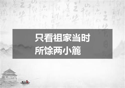 只看祖家当时所馀两小簏