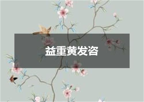 益重黄发咨