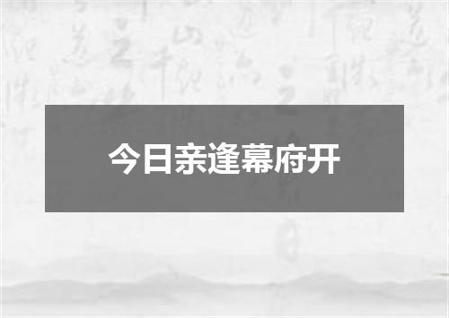 今日亲逢幕府开