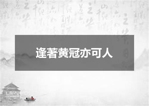逢著黄冠亦可人