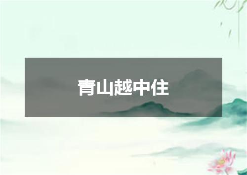 青山越中住