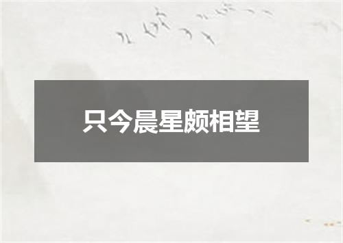 只今晨星颇相望