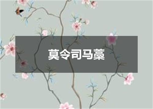 莫令司马藁