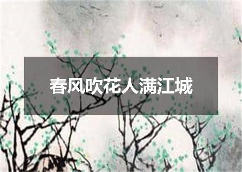 春风吹花人满江城