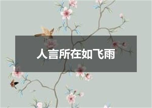 人言所在如飞雨