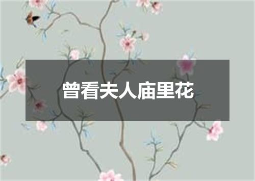 曾看夫人庙里花
