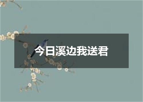 今日溪边我送君