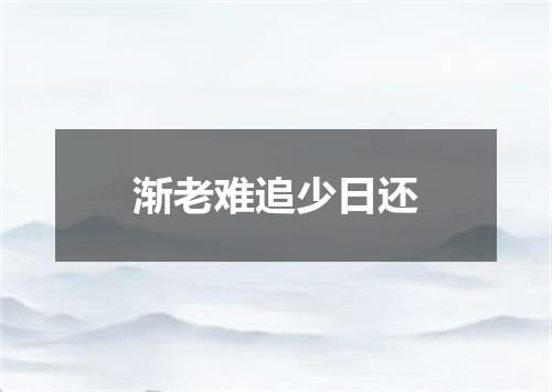 渐老难追少日还