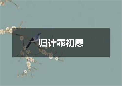 归计乖初愿