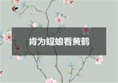 肯为螳蜋看黄鹤