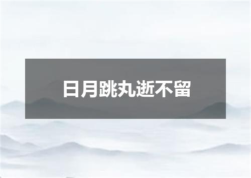 日月跳丸逝不留