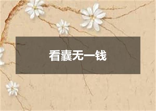 看囊无一钱