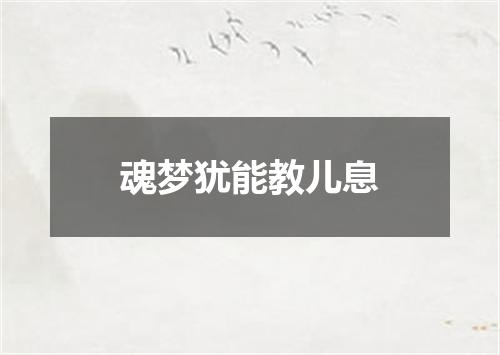 魂梦犹能教儿息