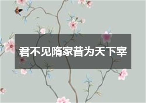 君不见隋家昔为天下宰