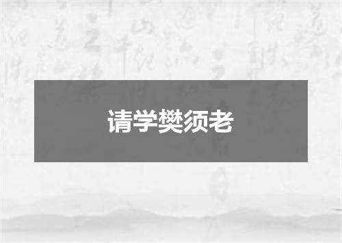 请学樊须老