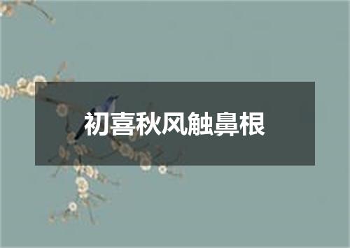 初喜秋风触鼻根