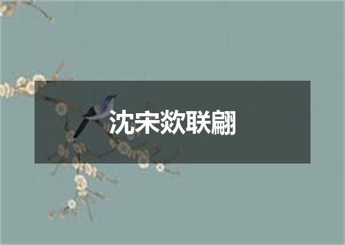 沈宋欻联翩