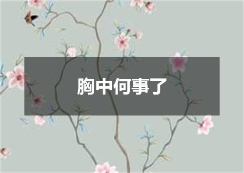 胸中何事了