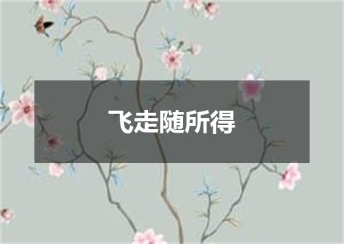 飞走随所得