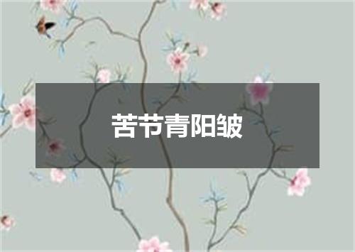 苦节青阳皱