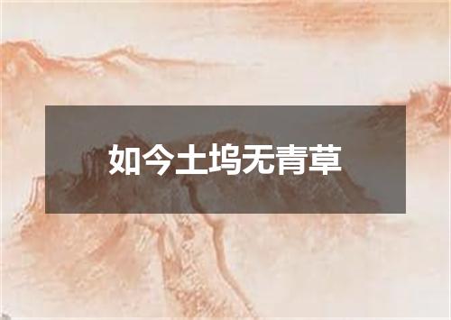 如今土坞无青草