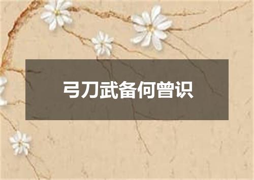 弓刀武备何曾识
