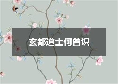 玄都道士何曾识