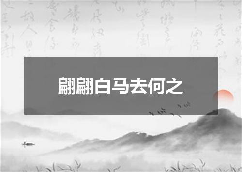 翩翩白马去何之