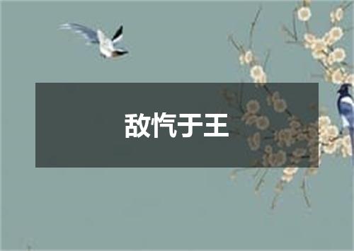 敌忾于王