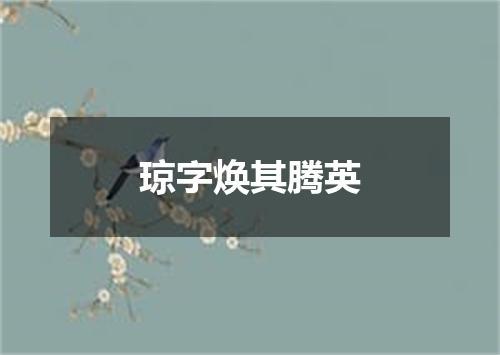琼字焕其腾英