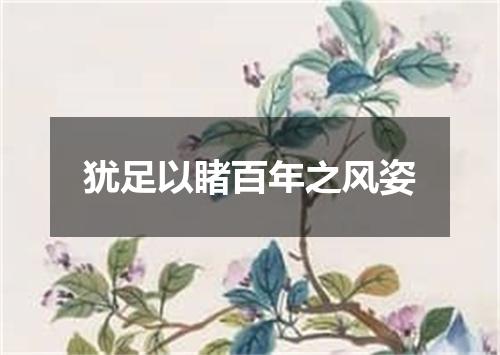 犹足以睹百年之风姿