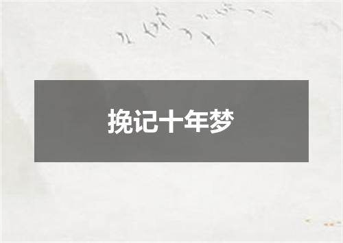 挽记十年梦