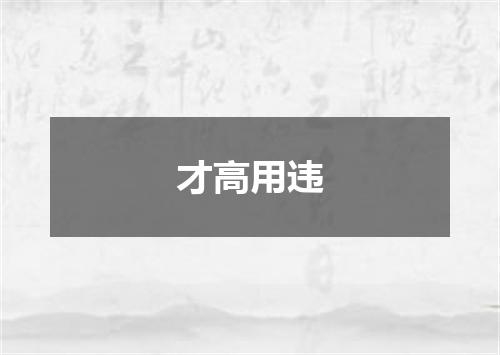 才高用违
